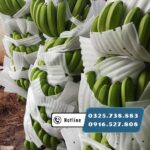 Màng xốp foam 2mm bọc lót trái cây