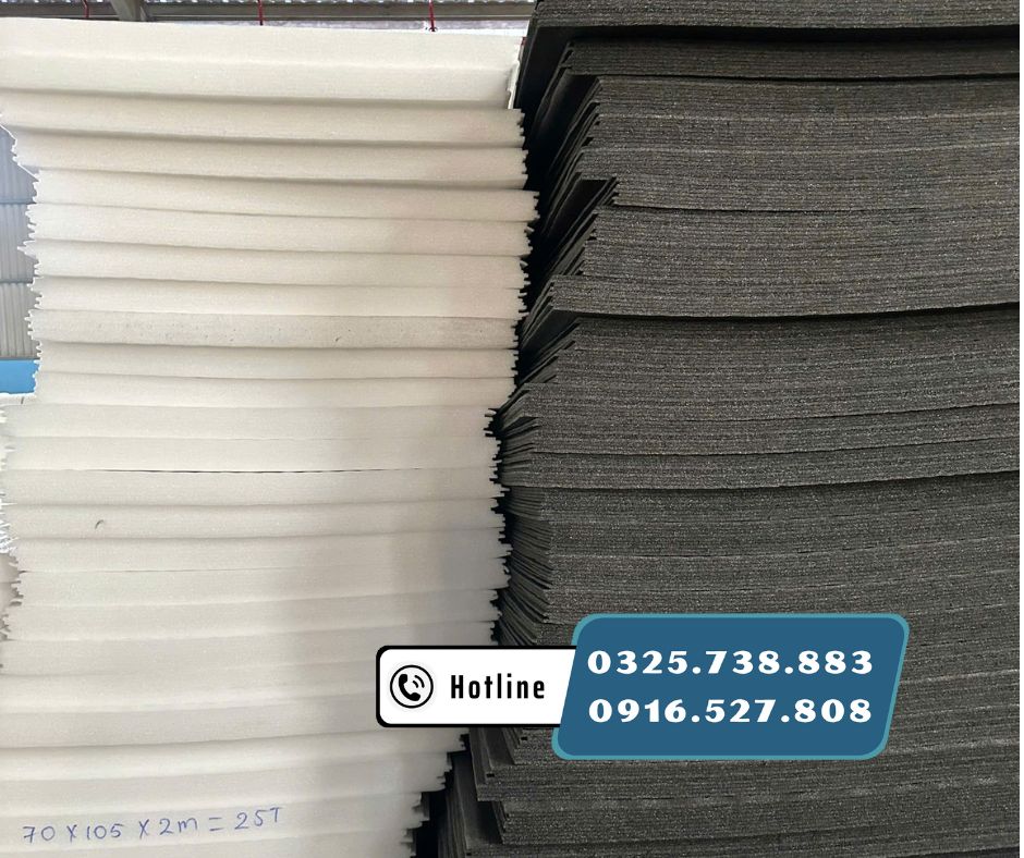 tam foam day lot hang 