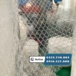 Màng xốp hơi bóng 10mm bọc hàng chống sốc